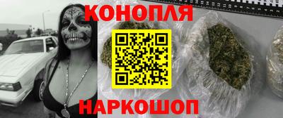 прущие грибы Будённовск