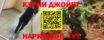 прущие грибы Будённовск
