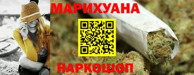 прущие грибы Будённовск