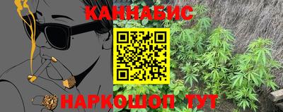 прущие грибы Будённовск